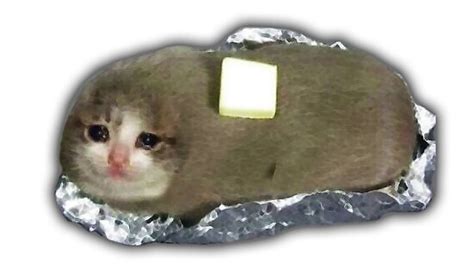 Sad Potato Cat Meme