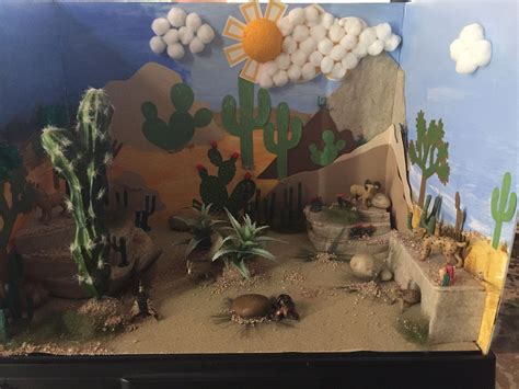 Desert Diorama Google Search Desert Diorama Ecosystems Projects Biomes Project