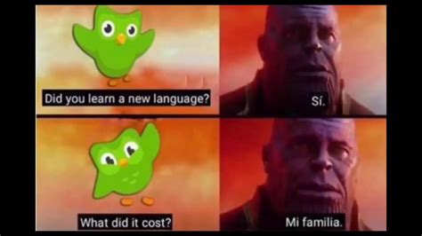 Evil duolingo owl memes are a series of parodies using the mascot for language learning app duolingo. Duolingo Bird Meme Compilation - YouTube