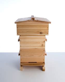 The hive can be hung or put on a desk. Langstroth, Top-Bar or Warre?: Choose the Right Hive for ...