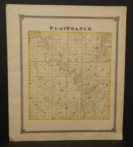 Illinois Shelby County Map Flat Branch Townships 1875 Z711 3825014837