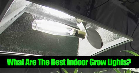 Check spelling or type a new query. How To Build An Indoor Grow Lights System