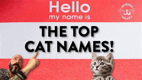 Top Popular Cat Names Youtube