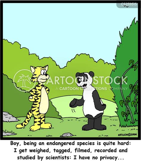 Giant Panda Cartoons And Comics Funny Pictures From Cartoonstock