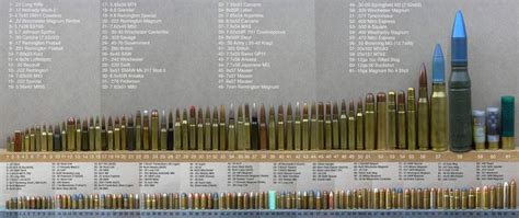 Lots Of Lead M Guns And Ammo Bullet Types Ammunition