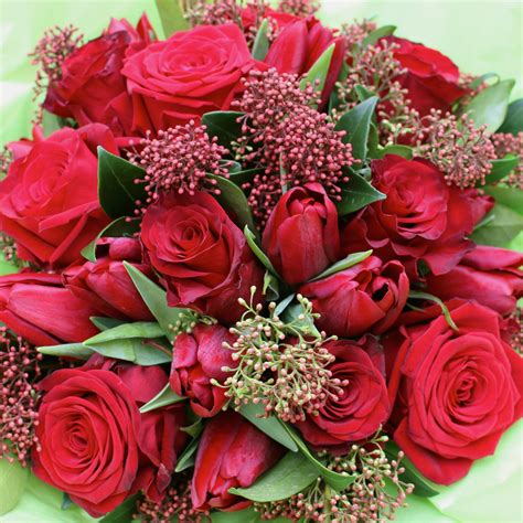 Search 123rf with an image instead of text. Valentine's Day Bouquets | Amanda Austin Flowers | Blog