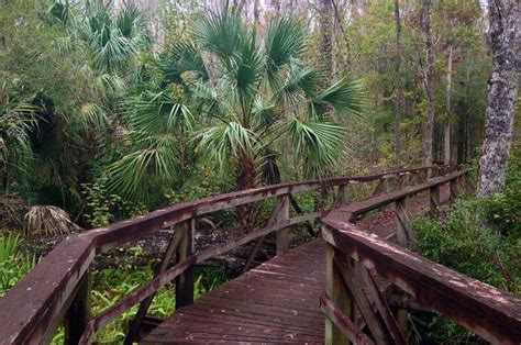 16 Best Boardwalks In Florida With Easy Access For All
