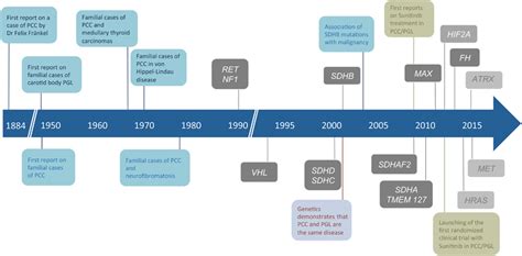 Timeline Of The Major Discoveries In The Understanding Of The Genetic