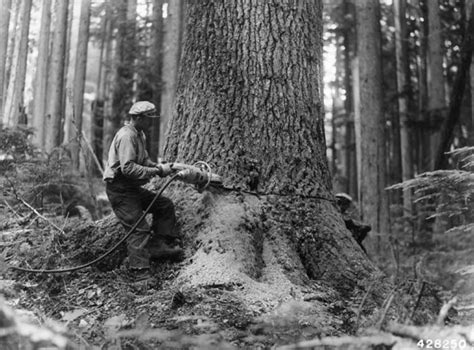 Oregon Logging History Flickr