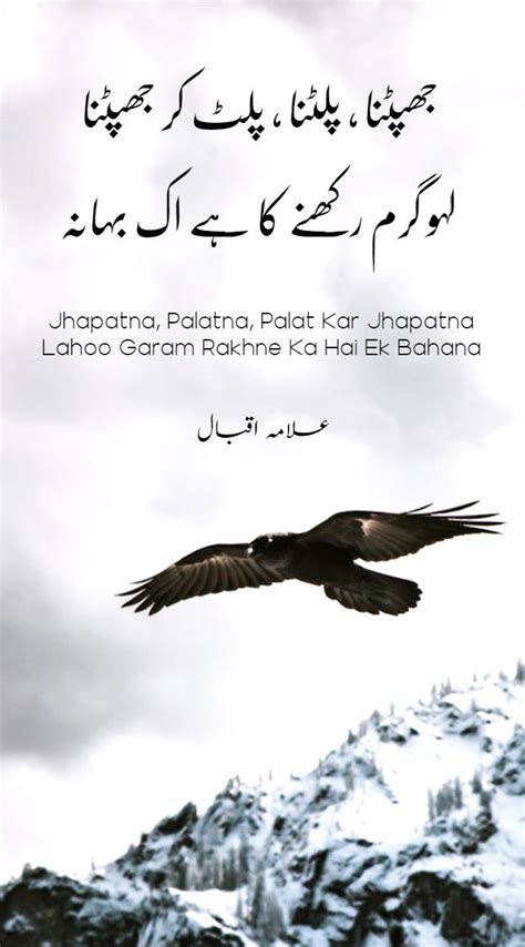Iqbal Ka Shaheen In Urdu Paydayloansnofaxnoteletraknotelecheck