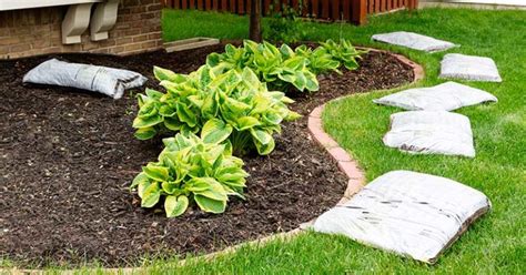 Benefits Of Mulch Reasons Why You Should Mulch Your Yard
