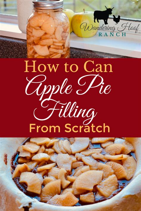 C razy as it sounds, recipes with canned pie fillings aren't just for making pies. Canned Apple Pie Filling Recipe - Wandering Hoof Ranch ...