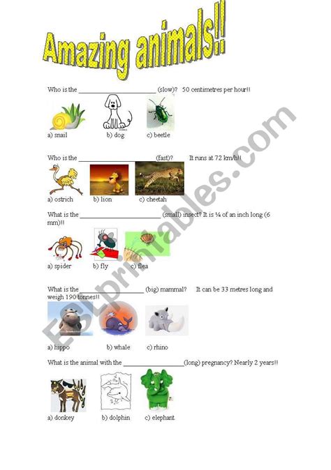 English Worksheets Amazing Animals Superlative Quiz