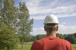 Depending on their job description, they may specialize in planting flowers and shrubs, trimming trees, mowing grass,or applying fertilizer and pesticides. Job Description for a Landscape Foreman | eHow