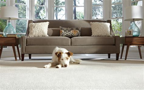 We notified home depot because we purchased the more expensive carpeting and it hadn't even been a year. Best Carpet Cleaners for the Job - The Home Depot
