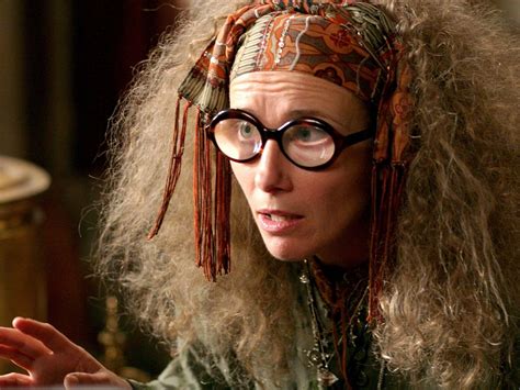 Professora De Adivinhação Harry Potter