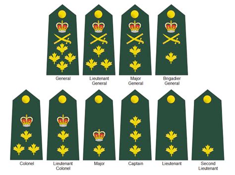 The Army Ranks In The Army Uk