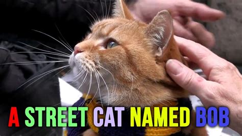 A Street Cat Named Bobexclusive Early Footage Youtube