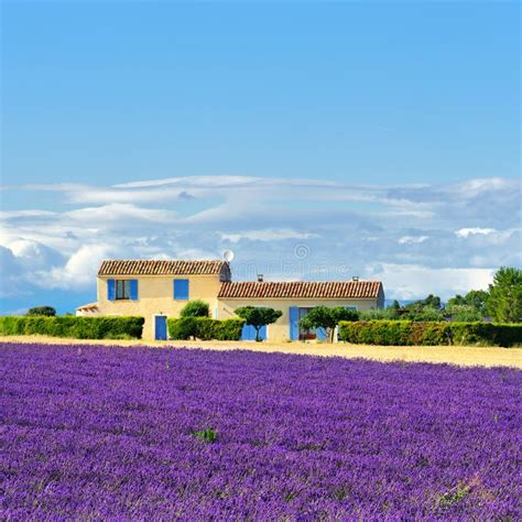 Provence Rural Landscape Stock Image Image Of Bloom 58127539