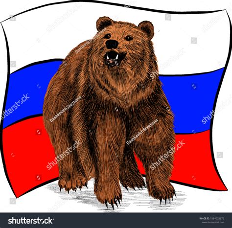 Flag Russia Brown Bear Symbol Stock Vector Royalty Free 1564033672