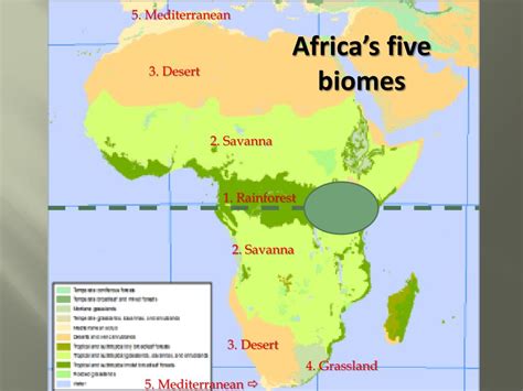 What Are The 4 Main Biomes In Africa Rankiing Wiki Facts Films