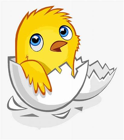 Egg Chick Born Chicken Hen Kifaranga Shell