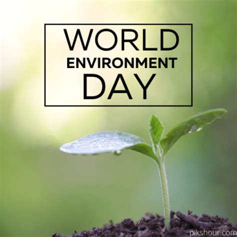 World environment day (wed) is celebrated annually on 5 june and is the united nations' principal vehicle for encouraging awareness and action for the protection of the environment. 32+ World Environment day 2021 - PiksHour Important days