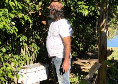 Specializes in bee removal in orlando, fl, and the surrounding areas, safely eliminating the danger all bee inc. Gallery - Bee N BB Removal Miami