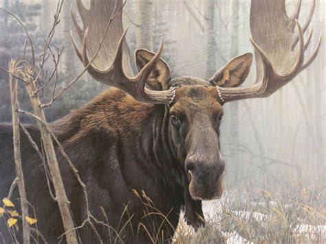 Art Country Canada Robert Bateman Worlds Most Complete Limited