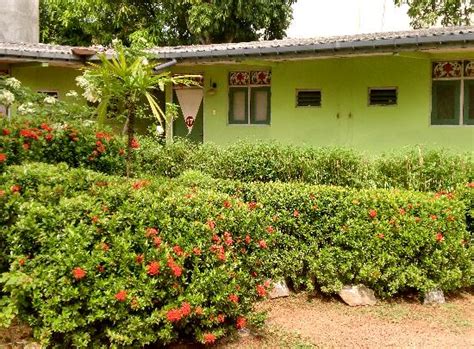 Then take a look at our buyer's guide where we review the top options garden hoses can be a pain, especially when they start to kink. GREEN GARDEN GUEST HOUSE, SRI LANKA (Aluthgama ...