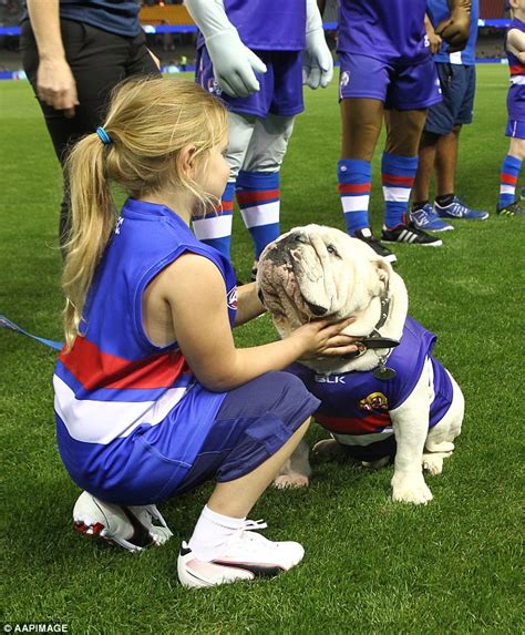 Bucky the beaver — the stoic colonel rock — bulldog mascot for the western illinois leathernecks. AFL footy mascot Sid the bulldog dies | Daily Mail Online