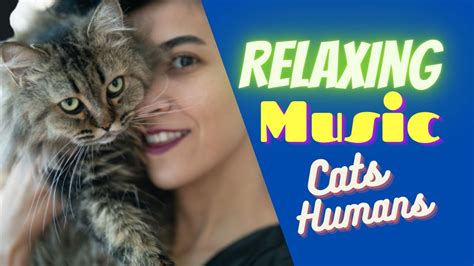 Relaxing Music For Cats And Humans Relaxing Music For Your Cat
