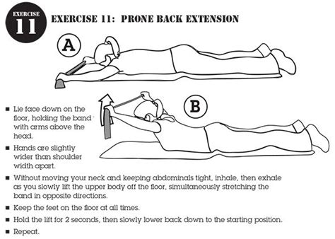 Exercises To Strengthen The Lower Back The Lower Back Strengthening