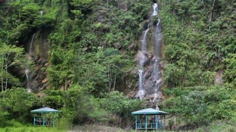 VIDEO WISATA RIAU Keindahan Air Terjun Di Taman Nasional Bukit Tiga