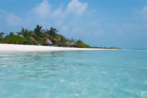 The Water Is Crystal Blue And Clear With White Sand On It And Palm