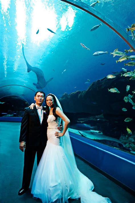 Compare the best wedding destinations in india with the cost, food, reviews, availability & other details of each destination wedding venue. Unique Wedding Ideas: Aquarium Venues, Photos, Invitations ...