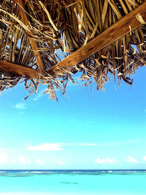 Tiki Time Photograph By Cassi Manner Fine Art America