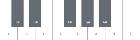 Das sind seit einiger zeit die beliebtesten instrumente. Wo sind die Noten auf der Gitarre? - six strings