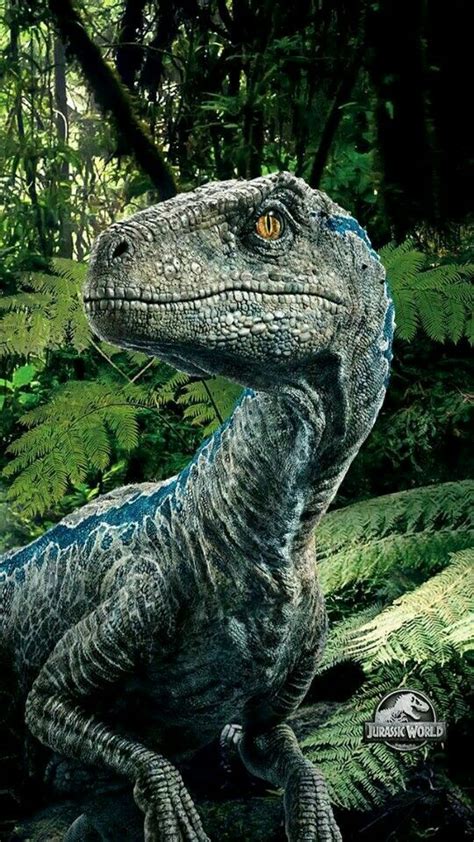 Dino Guerreros Prehistóricos Velociraptor Blue Jurassic World Poster