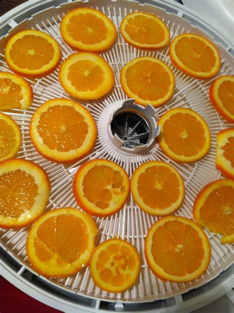 Nifty Thrifty Bits Dehydrating Oranges