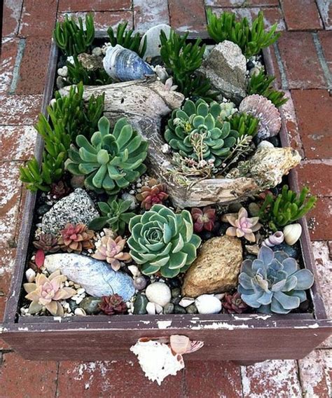How To Take Care Of Succulents Succulent Planter Diy Succulent
