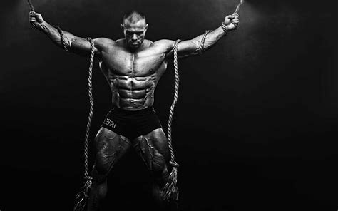 Bodybuilding Wallpapers For Mobile Wallpaper Cave