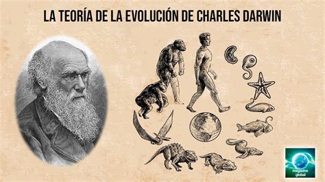 La Teoría De La Evolución De Charles Darwin Descubre Su Impacto En La