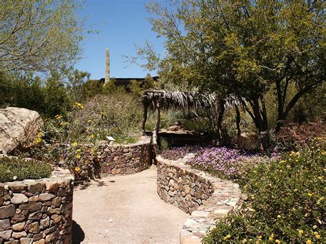 Southwestern Landscaping Calimesa Ca Photo Gallery Landscaping