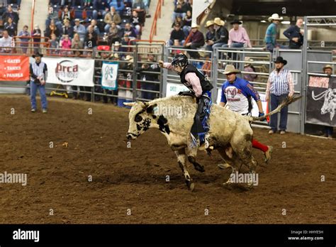 Un Joven Vaquero Cabalga Un Toro En El Pennsylvania Farm Show Complejo Escenario En Harrisburg