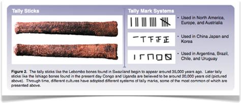 Mathematics Lebombo Bone Compared With The Ishango Bone The Lebombo