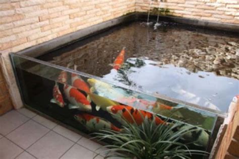 20 Amazing Indoor Koi Pond Ideas Mountain Tree