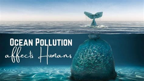 Maritime Infographic How Ocean Pollution Affects Humans Maritimecyprus