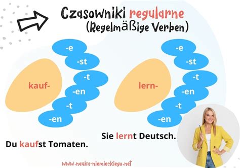 Czasowniki Regularne Niemiecki Proste Wyjaśnienie And ćwiczenia