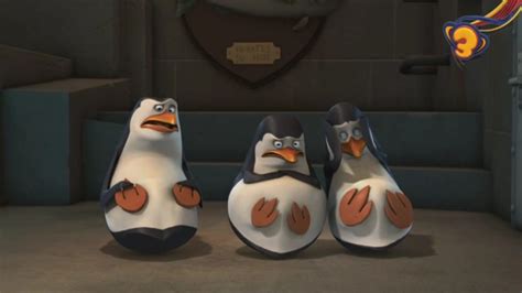 I have seen a penguin. PoM Pic Contest - Penguins of Madagascar - Fanpop | Page 7
